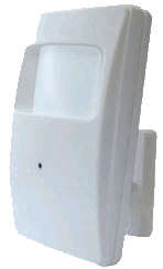 1/3" Sony 420TV Line Color Hidden Motion Camera